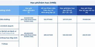 Bác Sĩ Nội Trú Vinuni Học Phí