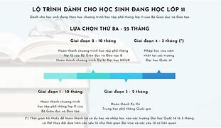 Chương Trình Dự Bị Đại Học Bằng Tiếng Anh Tdtu