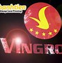 Logo Vingroup Không Nền Trong Photoshop 2024