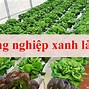 Mô Hình Nông Nghiệp Xanh Gắn Với Du Lịch