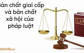 Xét Về Bản Chất Pháp Luật Là Hiện Tượng